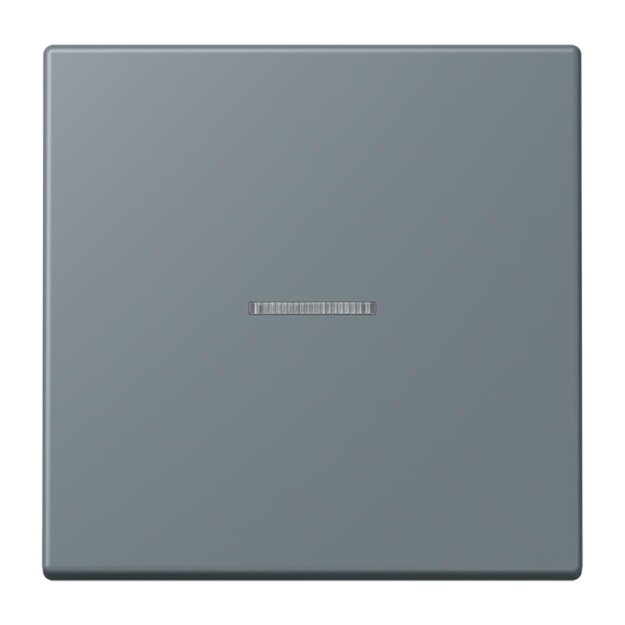Jung LC990KO5251 Wippe 1-fach mit Lichtleiter LC4320H (Duroplast lackiert) Gris 59 Les Couleurs® Le Corbusier