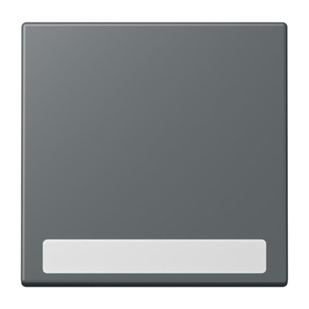 Jung LC990NA202 Wippe 1-fach mit Schriftfeld LC32010 (Duroplast lackiert) Gris Foncé 31 Les Couleurs® Le Corbusier