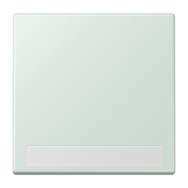 Jung LC990NA215 Wippe 1-fach mit Schriftfeld LC32034 (Duroplast lackiert) Céruléen Pale Les Couleurs® Le Corbusier