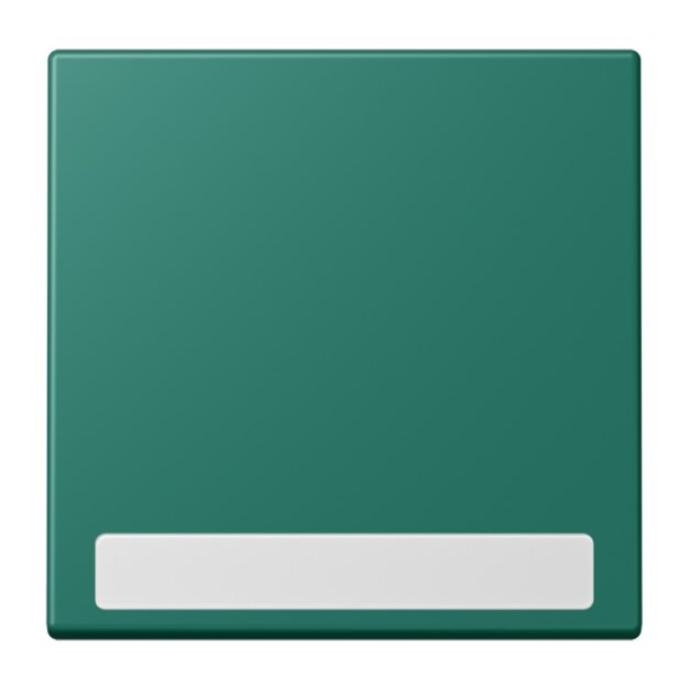 Jung LC990NA216 Wippe 1-fach mit Schriftfeld LC32040 (Duroplast lackiert) Vert Anglais Les Couleurs® Le Corbusier