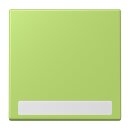 Jung LC990NA221 Wippe 1-fach mit Schriftfeld LC32052...