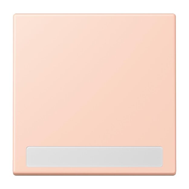Jung LC990NA234 Wippe 1-fach mit Schriftfeld LC32112 (Duroplast lackiert) LOcre Rouge Clair Les Couleurs® Le Corbusier