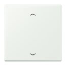 Jung LC990P210 Wippe für Taster BA 1-fach LC32024...