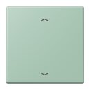 Jung LC990P217 Wippe für Taster BA 1-fach LC32041...