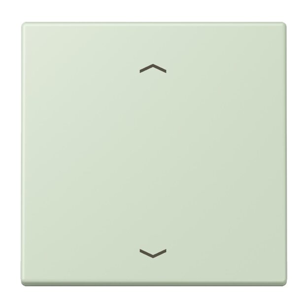 Jung LC990P218 Wippe für Taster BA 1-fach LC32042 Vert Anglâis Pale Les Couleurs® Le Corbusier