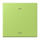 Jung LC990P221 Wippe für Taster BA 1-fach LC32052...