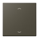 Jung LC990P241 Wippe für Taster BA 1-fach LC32140...