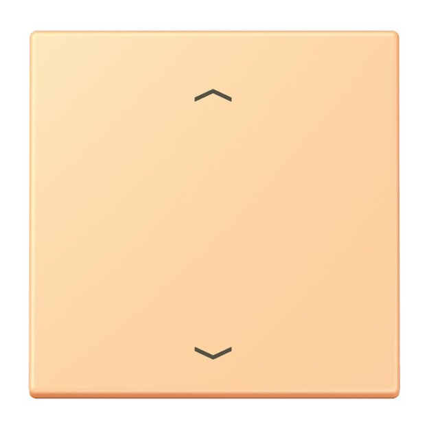 Jung LC990P258 Wippe für Taster BA 1-fach LC4320P Terre Sienne Claire 59 Les Couleurs® Le Corbusier