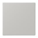 Jung LC994B205 Blind-Abdeckung (gerastet) LC32013...