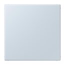 Jung LC994B209 Blind-Abdeckung (gerastet) LC32023...