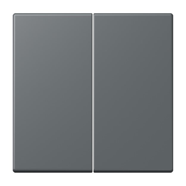 Jung LC995202 Wippe 2-fach LC32010 (Duroplast lackiert) Gris Foncé 31 Les Couleurs® Le Corbusier
