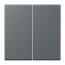 Jung LC995202 Wippe 2-fach LC32010 (Duroplast lackiert)...