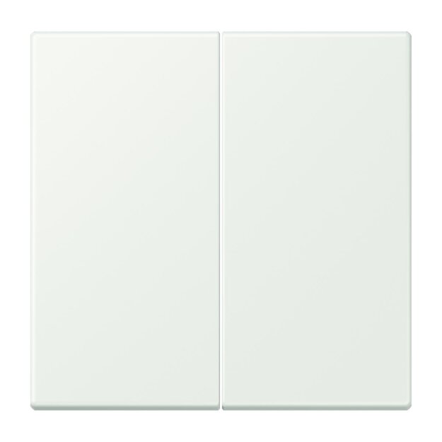 Jung LC995210 Wippe 2-fach LC32024 (Duroplast lackiert) Outremer Gris Les Couleurs® Le Corbusier