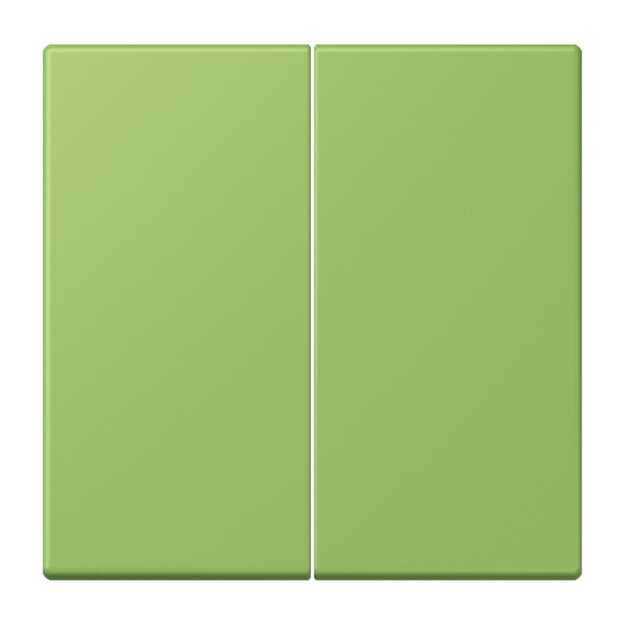 Jung LC995220 Wippe 2-fach LC32051 (Duroplast lackiert) Vert 31 Les Couleurs® Le Corbusier