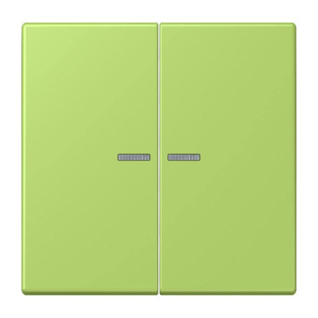 Jung LC995KO5221 Wippe für Serienschalter KO LC32052 Vert Clair Les Couleurs® Le Corbusier