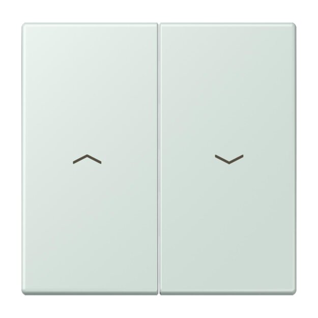 Jung LC995P215 Wippe 2-fach mit Pfeilsymbolen LC320 (Duroplast lackiert) Céruléen Pale Les Couleurs® Le Corbusier