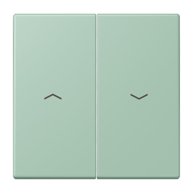 Jung LC995P217 Wippe 2-fach mit Pfeilsymbolen LC320 (Duroplast lackiert) Vert Anglais Clair Les Couleurs® Le Corbusier