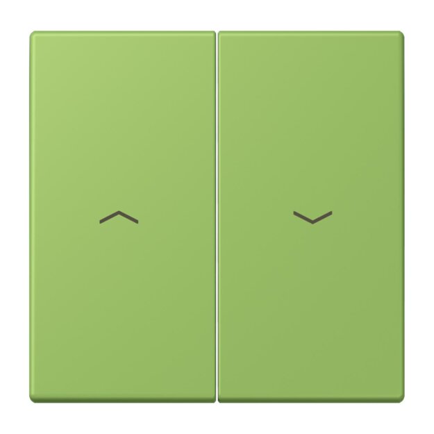 Jung LC995P220 Wippe 2-fach mit Pfeilsymbolen LC320 (Duroplast lackiert) Vert 31 Les Couleurs® Le Corbusier