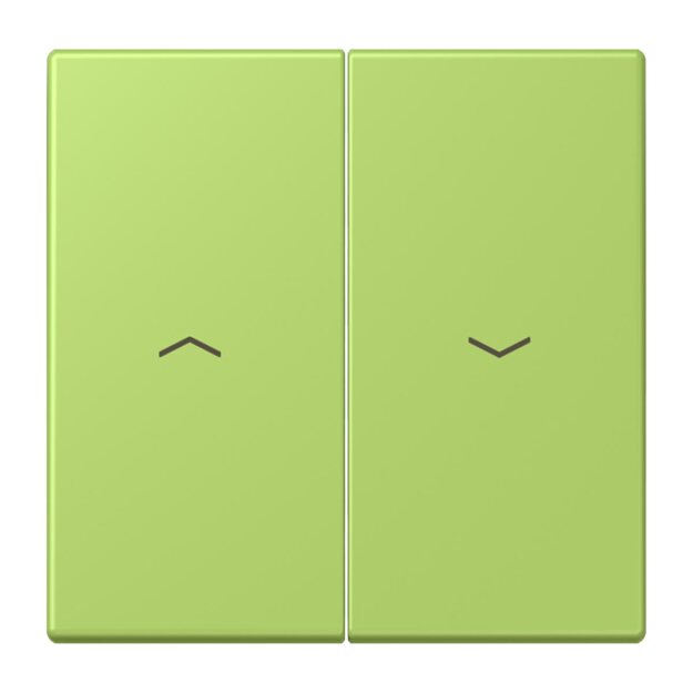Jung LC995P221 Wippe 2-fach mit Pfeilsymbolen LC320 (Duroplast lackiert) Vert Clair Les Couleurs® Le Corbusier