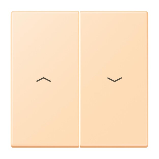 Jung LC995P223 Wippe 2-fach mit Pfeilsymbolen LC320 (Duroplast lackiert) Ocre Les Couleurs® Le Corbusier