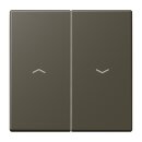 Jung LC995P241 Wippe 2-fach mit Pfeilsymbolen LC321...