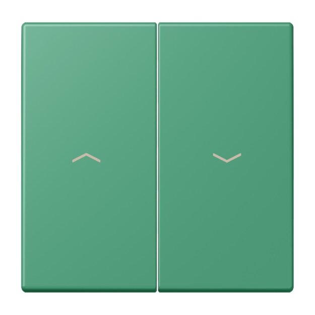 Jung LC995P250 Wippe 2-fach mit Pfeilsymbolen LC432 (Duroplast lackiert) Vert 59 Les Couleurs® Le Corbusier