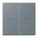 Jung LC995P251 Wippe 2-fach mit Pfeilsymbolen LC432...
