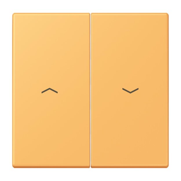 Jung LC995P254 Wippe 2-fach mit Pfeilsymbolen LC432 (Duroplast lackiert) Ocre Jaune Clair Les Couleurs® Le Corbusier