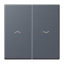 Jung LC995P262 Wippe 2-fach mit Pfeilsymbolen LC432...