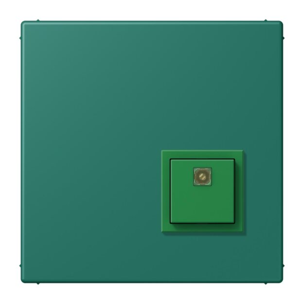 Jung NRSLC0834AT216 Abstelltaster LC32040 (Thermoplast lackiert) Vert Anglais Les Couleurs® Le Corbusier