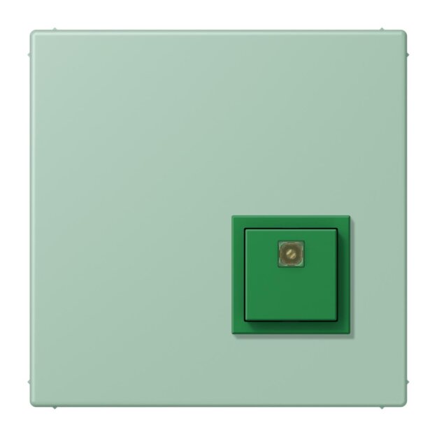 Jung NRSLC0834AT217 Abstelltaster LC32041 (Thermoplast lackiert) Vert Anglais Clair Les Couleurs® Le Corbusier