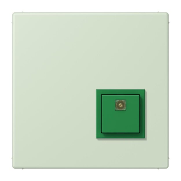 Jung NRSLC0834AT218 Abstelltaster LC32042 (Thermoplast lackiert) Vert Anglâis Pale Les Couleurs® Le Corbusier