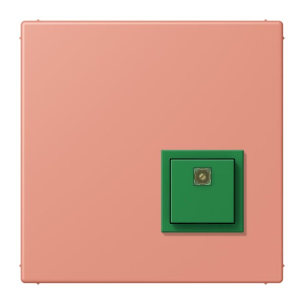 Jung NRSLC0834AT233 Abstelltaster LC32111 (Thermoplast lackiert) LOcre Rouge Moyen Les Couleurs® Le Corbusier