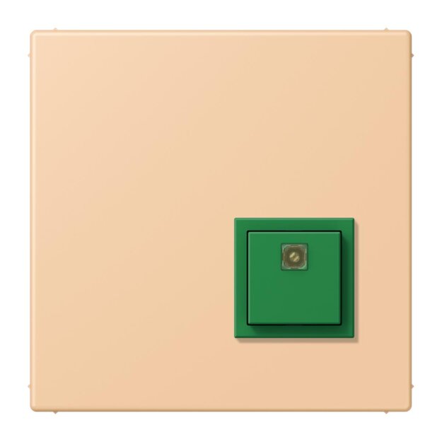 Jung NRSLC0834AT237 Abstelltaster LC32122 (Thermoplast lackiert) Terre Sienne Claire 31 Les Couleurs® Le Corbusier