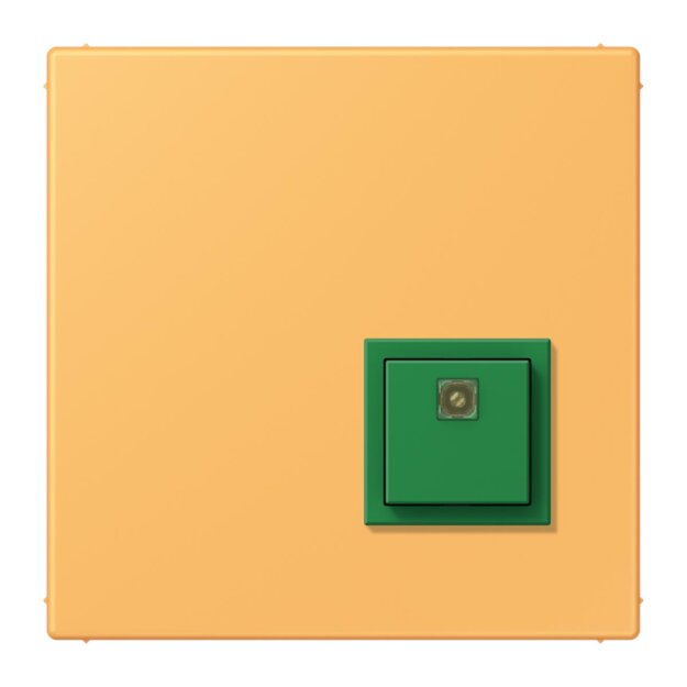 Jung NRSLC0834AT254 Abstelltaster LC4320L (Thermoplast lackiert) Ocre Jaune Clair Les Couleurs® Le Corbusier