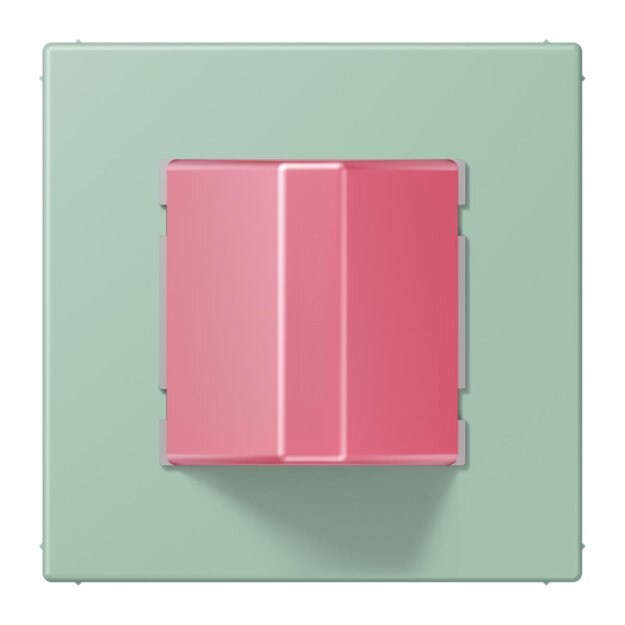 Jung NRSLC0834RM217 Abstelltaster LC32041 (Thermoplast lackiert) Vert Anglais Clair Les Couleurs® Le Corbusier