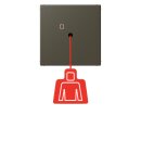 Jung NRSLC0834ZT241 Zugtaster LC32140 Ombre Naturelle 31...
