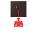 Jung NRSLC0834ZT252 Zugtaster LC4320J Terre D’Ombre...