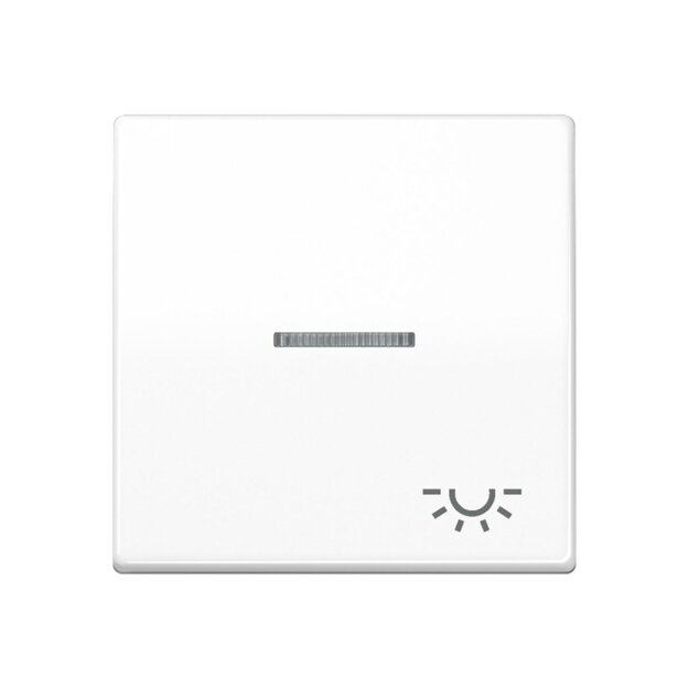Jung SPAS591KO5LWW Wippe 1-fach Symbol Licht mit Lichtleiter Duroplast antimikrobiell Alpinweiß