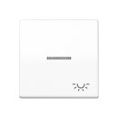 Jung SPAS591KO5LWW Wippe 1-fach Symbol Licht mit...
