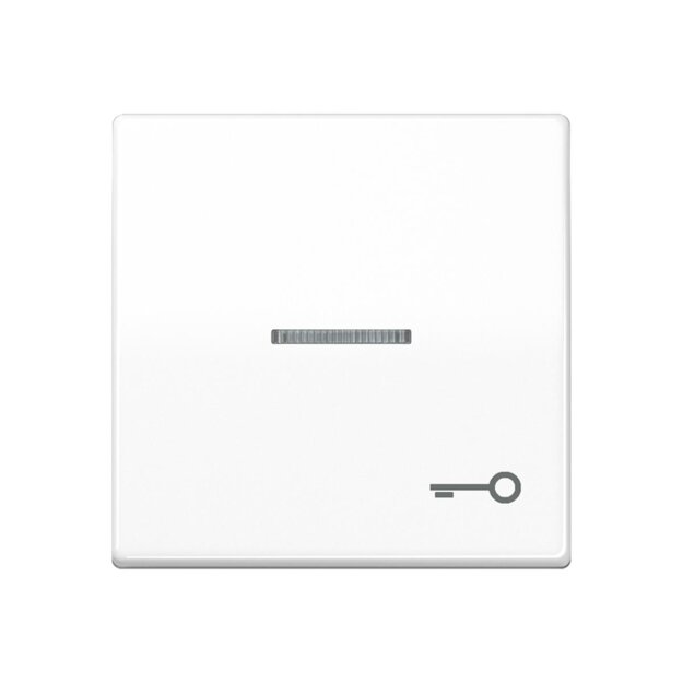 Jung SPAS591KO5TWW Wippe 1-fach Symbol Tür mit Lichtleiter Duroplast antimikrobiell Alpinweiß