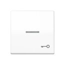 Jung SPAS591KO5TWW Wippe 1-fach Symbol Tür mit...