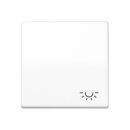 Jung SPAS591LWW Wippe 1-fach Symbol Licht Duroplast...