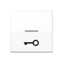 Jung SPAS591T1KO5WW Wippe 1-fach mit abtastbarem Symbol...