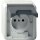 Gira 448530 Steckdose Erdstift mit Klappdeckel mit Shutter WG AP Grau