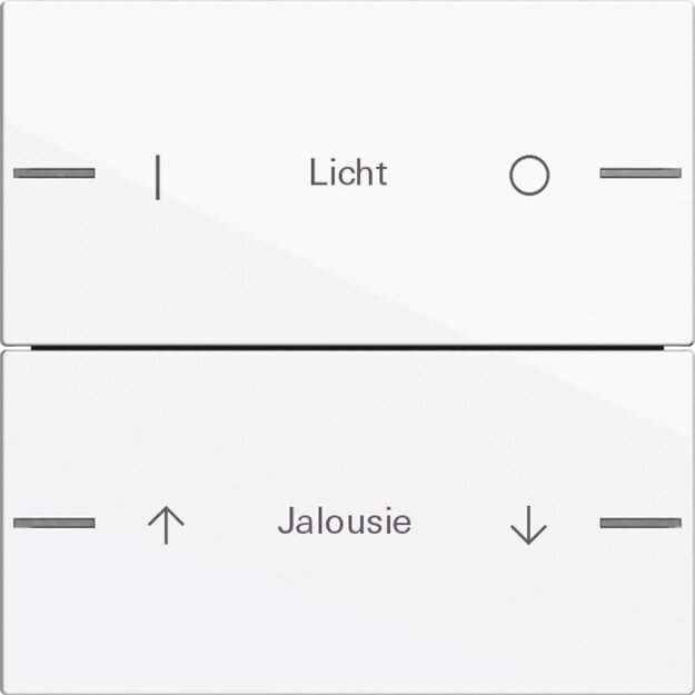 Gira 576203 Wippenset 2-fach individuell Tastsensor 4 System 55 Reinweiß glänzend