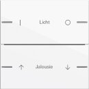 Gira 576203 Wippenset 2-fach individuell Tastsensor 4...
