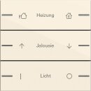 Gira 576301 Wippenset 3-fach individuell Tastsensor 4...