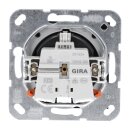 Gira 4454600 SCHUKO-Steckdose mit Klappdeckel System 55 Edelstahl