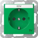 Gira 4457107 SCHUKO-Steckdose mit Beschriftungsschild EDV...